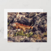 Orange Guana Art Postkarte (Vorne/Hinten)