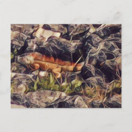 Orange Guana Art Postkarte