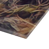 Orange Guana Art Schneidebrett (Ecke)