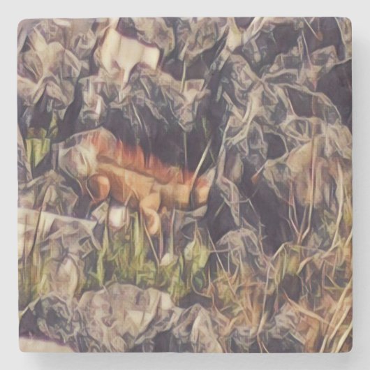 Orange Guana Art Steinuntersetzer (Vorderseite)