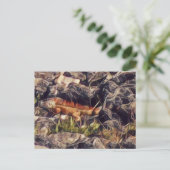 Orange Guana Kunst Postkarte (Stehend Vorderseite)