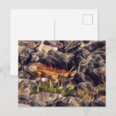 Orange Guana Kunst Postkarte (Vorne/Hinten)