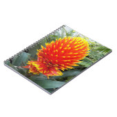Orange Guzmania Conifera Tropische Blüte Notizblock (Linke Seite)