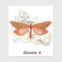 Orange Harvest Butterfly