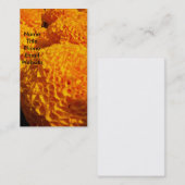 Orange Hauch-Visitenkarte Visitenkarte (Vorne/Hinten)