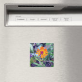 Orange Hawkweed 1 Magnet (In Situ (Geschirrspüler))