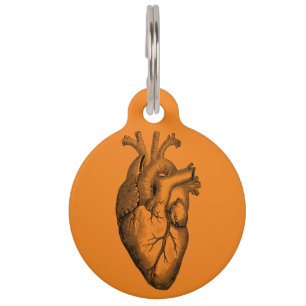 Orange Heart Anatomy Science Haustiermarke