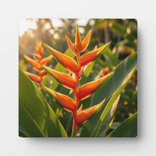 Orange Heliconia Tropische Blume Golden Hour  Fotoplatte