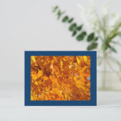 Orange Herbst-Baum verlässt Postkartenpostkarten Postkarte (Stehend Vorderseite)