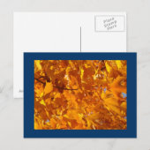 Orange Herbst-Baum verlässt Postkartenpostkarten Postkarte (Vorne/Hinten)