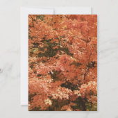 Orange Herbstlaubs Geburtstagsparty Einladung (Rückseite)