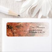 Orange Herbstlaubs Rücksendeadressen-Aufkleber (Insitu)