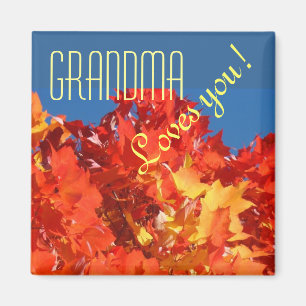 Orange Herbstleaves - Oma Lieben Sie! Magnet