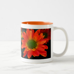 Orange Herbstliche Blume Tasse Getränke