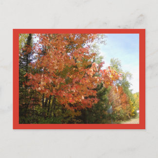 Orange Herbstpracht in MN Postkarte