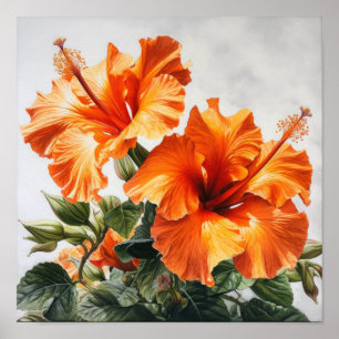 Orange Hibisken Blume Art Print Poster