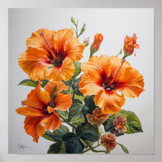 Orange Hibisken Blume Art Print Poster (Vorne)