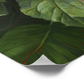 Orange Hibisken Blume Art Print Poster (Ecke)