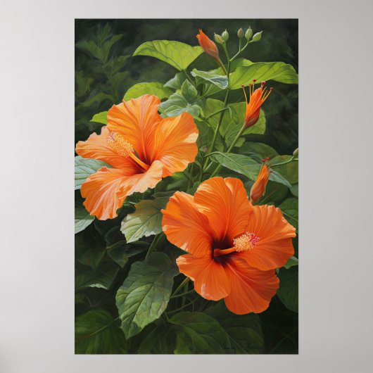 Orange Hibisken Blume Art Print Poster (Vorne)
