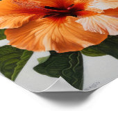 Orange Hibisken Blume Art Print Poster (Ecke)