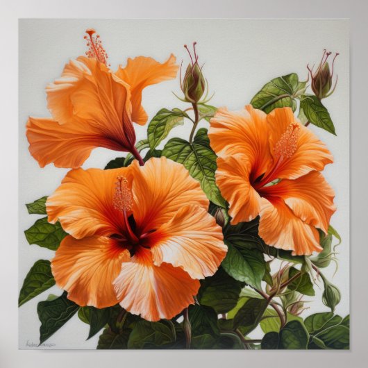 Orange Hibisken Blume Art Print Poster (Vorne)