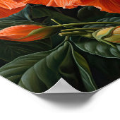 Orange Hibisken Blume Art Print Poster (Ecke)