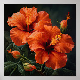 Orange Hibisken Blume Art Print Poster
