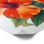 Orange Hibisken Blume Art Print Poster (Ecke)