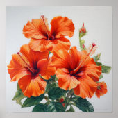 Orange Hibisken Blume Art Print Poster (Vorne)