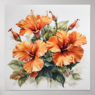 Orange Hibisken Blume Art Print Poster