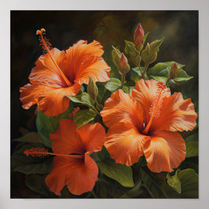 Orange Hibisken Blume Art Print Poster