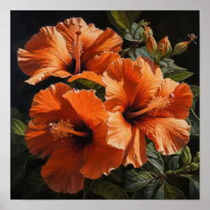 Orange Hibisken Blume Art Print Poster
