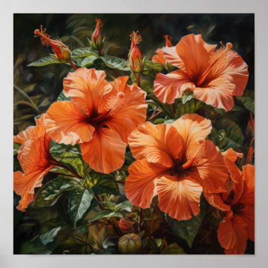 Orange Hibisken Blume Art Print Poster (Vorne)