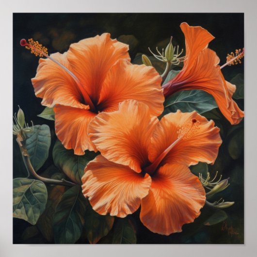 Orange Hibisken Blume Art Print Poster (Vorne)