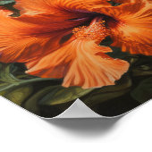 Orange Hibisken Blume Art Print Poster (Ecke)