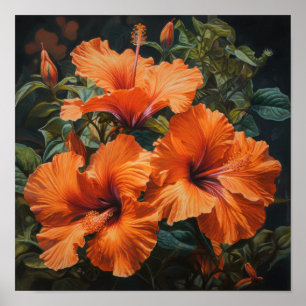 Orange Hibisken Blume Art Print Poster