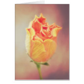 Orange Hibisken Blume Bloom Card (Vorne)