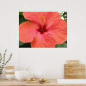 Orange Hibisken Blume Macro Print Poster (Küche)