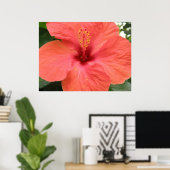 Orange Hibisken Blume Macro Print Poster (Heimbüro)