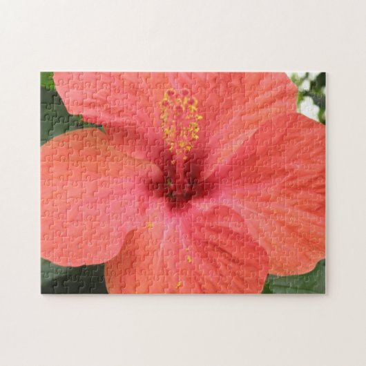 Orange Hibisken Blume Makro Puzzle (Horizontal)