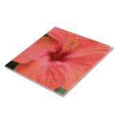 Orange Hibisken Blume Makro Tile Fliese (Seite)