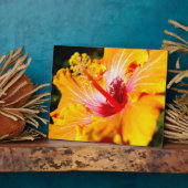 Orange Hibisken Blume Seitenansicht Fotoplatte (Seite)