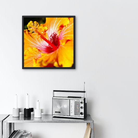 Orange Hibisken Blume Seitenansicht Kleine Poster