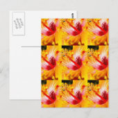 Orange Hibisken Blume Seitenansicht Postkarte (Vorne/Hinten)