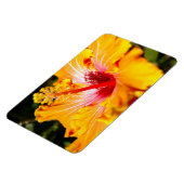 Orange Hibisken Side View Magnet (Linke Seite)