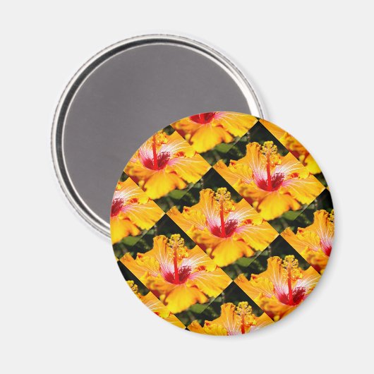Orange Hibisken Side View Magnet (Vorderseite/Rückseite)