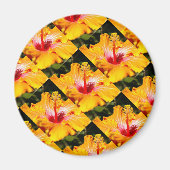 Orange Hibisken Side View Magnet (Vorne)