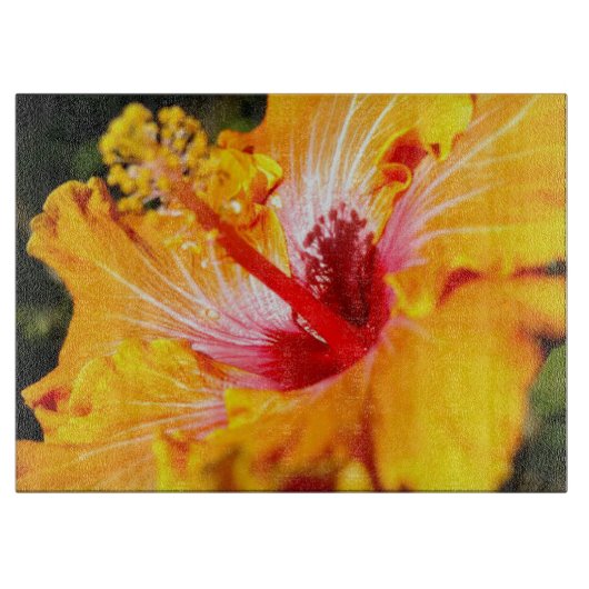Orange Hibisken Side View Schneidebrett (Vorderseite)