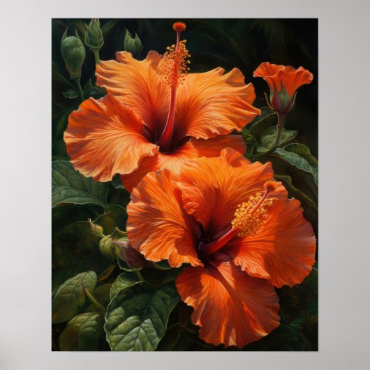 Orange Hibiskus Blume Art Print Poster (Vorne)