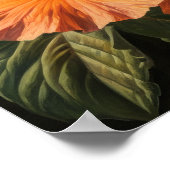 Orange Hibiskus Blume Art Print Poster (Ecke)